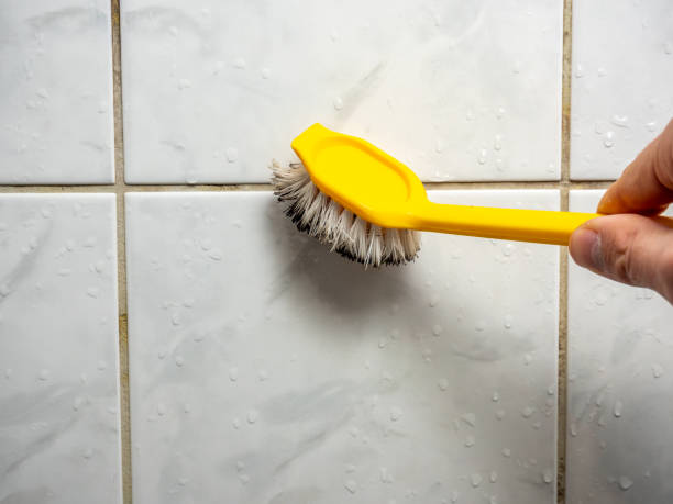 Professional Mold Removal in Lake Don Pedro, CA