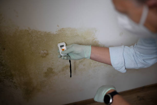 Water Damage Restoration in Lake Don Pedro, CA