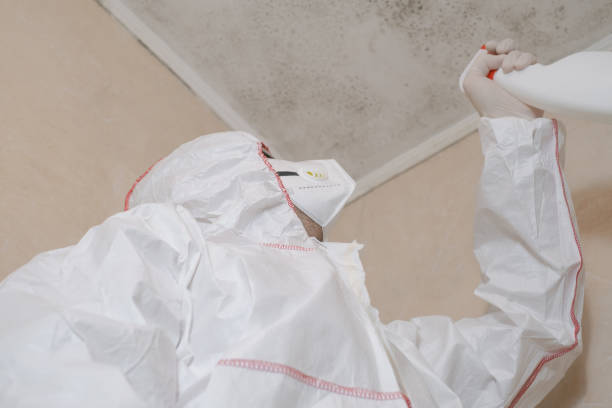 Best Attic Mold Removal  in Lake Don Pedro, CA