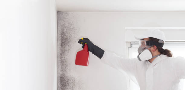 Best Mold Cleaning Services  in Lake Don Pedro, CA