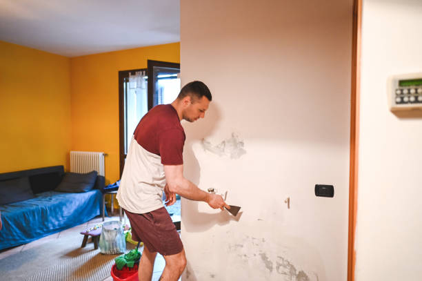 Best Commercial Mold Removal  in Lake Don Pedro, CA